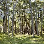 2648-nexo-skovsangervej-16 *