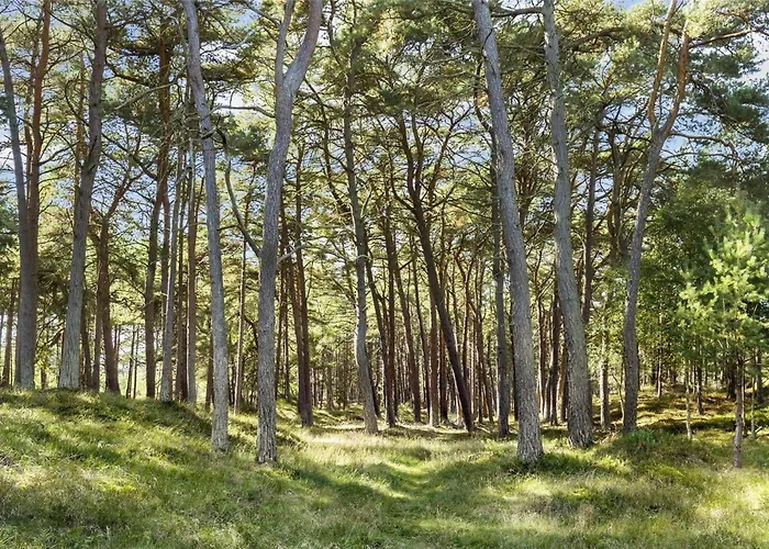 2648-nexo-skovsangervej-16 *